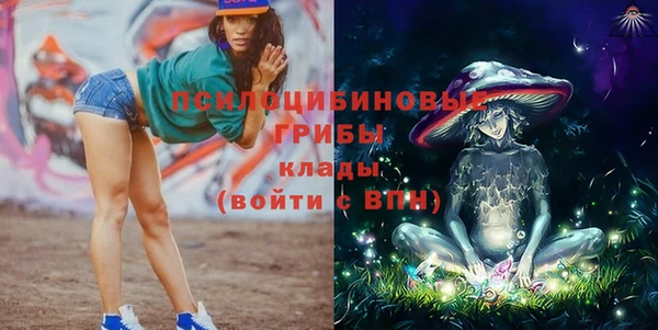 шишки Верхний Тагил